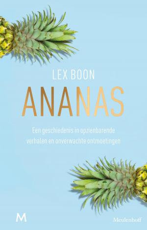 Cover of the book Ananas by Olivier Guez
