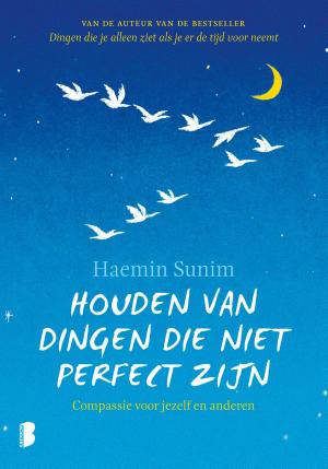 Cover of the book Houden van dingen die niet perfect zijn by Kate Mosse