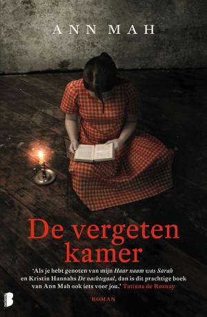 Cover of the book De vergeten kamer by Sarah J. Maas