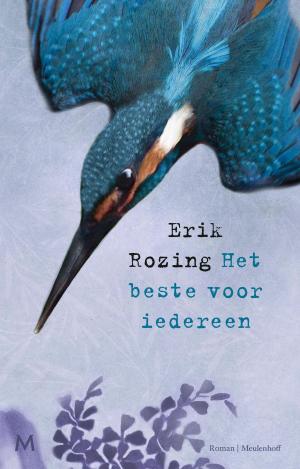 Cover of the book Het beste voor iedereen by Stijn Aerden