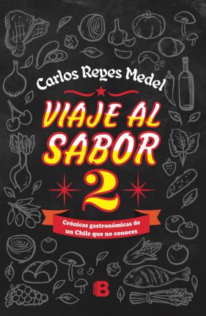Cover of the book Viaje al sabor 2 by ELVIRA HERNANDEZ