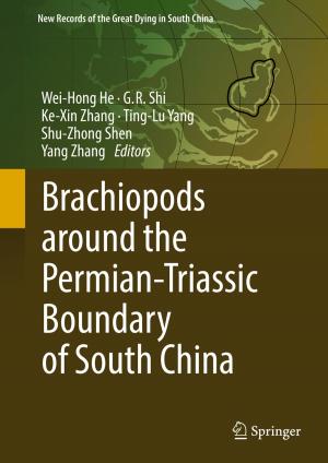 Cover of the book Brachiopods around the Permian-Triassic Boundary of South China by 