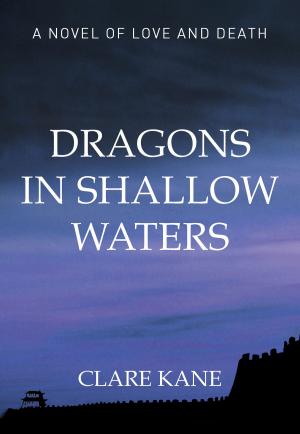 Cover of the book Dragons in Shallow Waters by Edwin John Dingle
