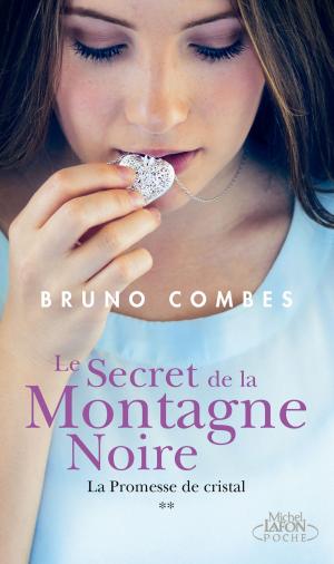 Cover of the book Le secret de la montagne noire - tome 2 La promesse de cristal by Julie Kenner