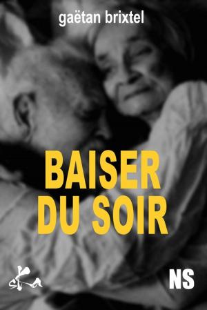 Cover of the book Baiser du soir by Arnould Galopin