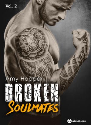 Cover of the book Broken Soulmates - Vol. 2/3 by Lisa Swann