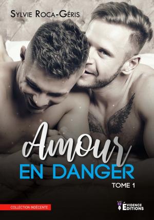 Cover of the book Amour en danger by Julie Dauge