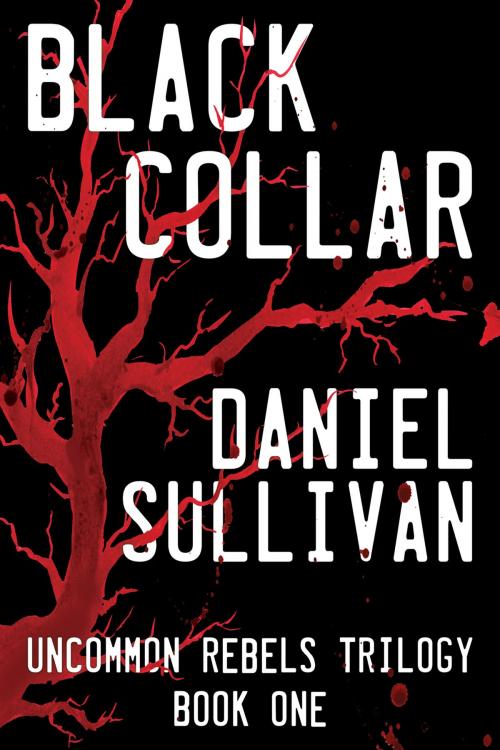 Cover of the book Black Collar by Daniel Sullivan, Paper Airplane Press