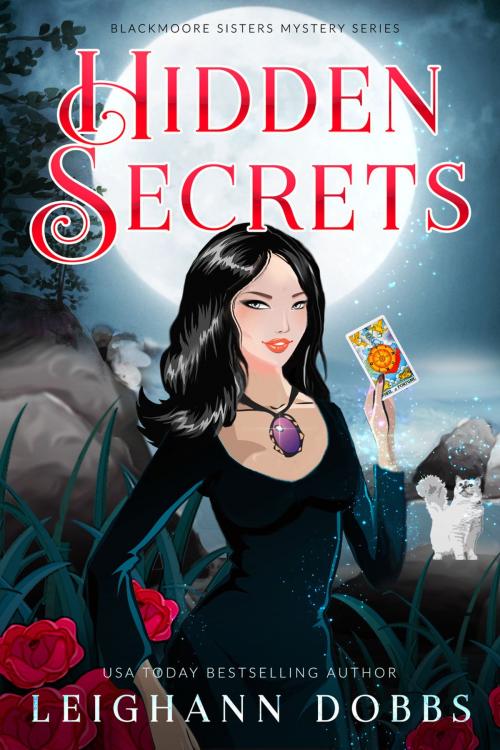 Cover of the book Hidden Secrets by Leighann Dobbs, Leighann Dobbs