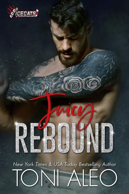 Cover of the book Juicy Rebound by Toni Aleo, Toni Aleo Books LLC