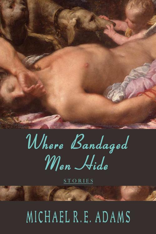 Cover of the book Where Bandaged Men Hide by Michael R.E. Adams, Enchanted Cipher