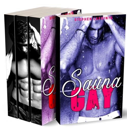 Cover of the book Sauna Gay - LA SAGA by Stephen Lapointe, Stephen Lapointe