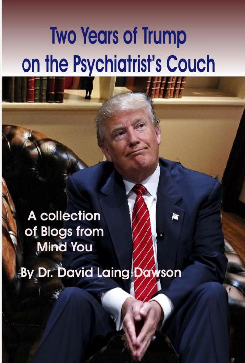 Cover of the book Two Years of Trump on the Psychiatrist's Couch by David Laing Dawson, Bridgeross Communications
