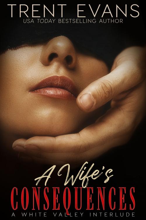 Cover of the book A Wife's Consequences by Trent Evans, Shadow Moon Press
