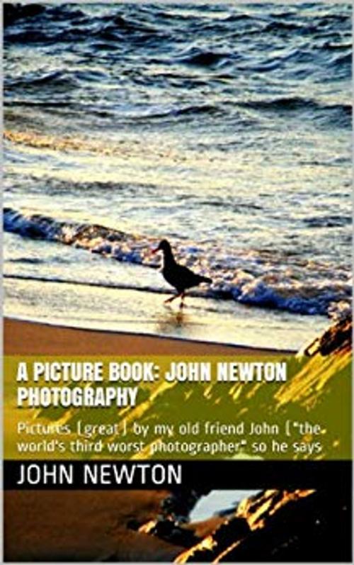 Cover of the book A Picture Book: John Newton Photography by craig lock, John ET Newton (photographer), Golden Dawn Publishing (NZ)