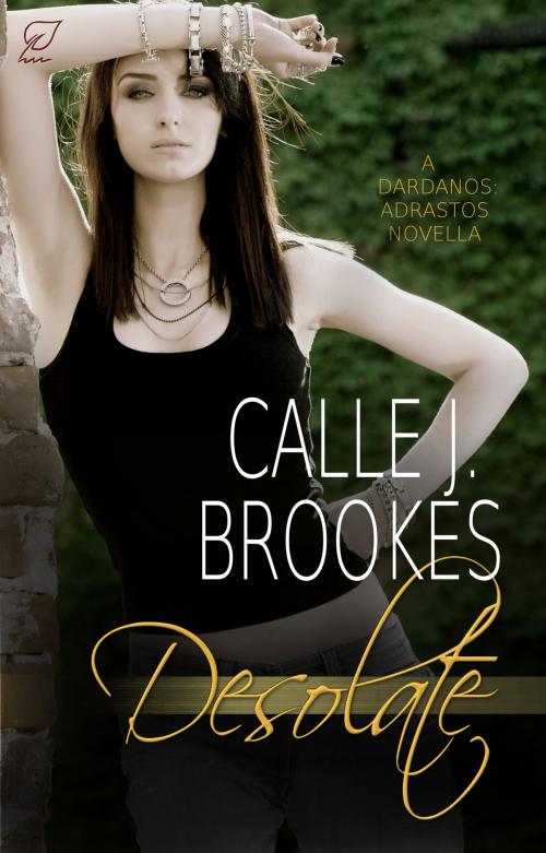 Cover of the book The Desolate by Calle J. Brookes, Lost River Lit Publishing, L.L.C.