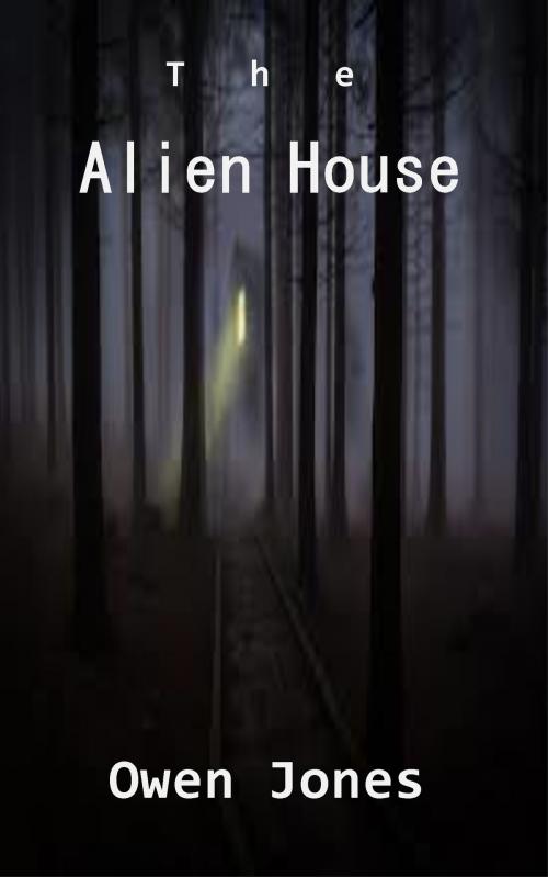Cover of the book The Alien House by Owen Jones, Megan Publishing Services