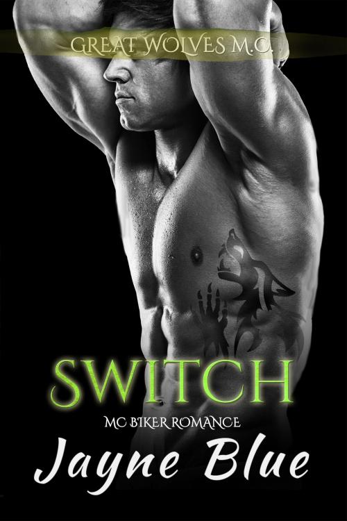 Cover of the book Switch by Jayne Blue, Nokay Press LLC