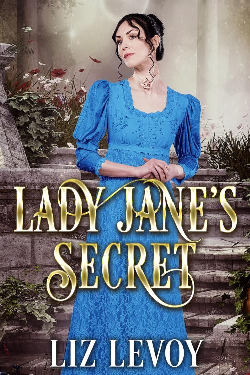 Cover of the book Lady Jane's Secret by Liz Levoy, Splendid Island, LLC