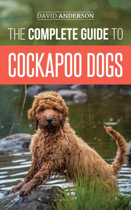 Cover of the book The Complete Guide to Cockapoo Dogs by David Anderson, LP Media Inc