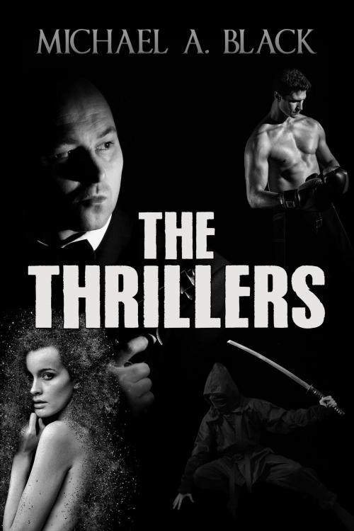 Cover of the book The Thrillers by Michael A. Black, Crossroad Press