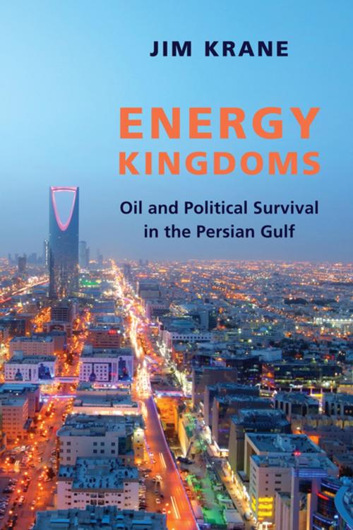 Cover of the book Energy Kingdoms by Jim Krane, Columbia University Press