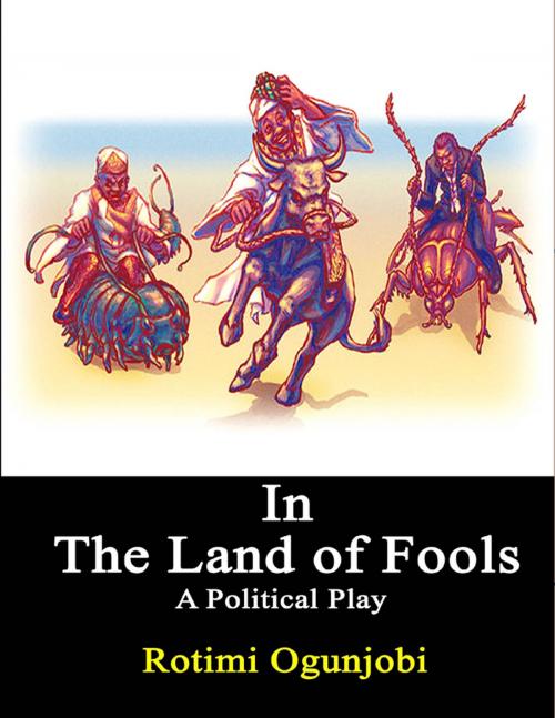 Cover of the book In the Land of Fools by Rotimi Ogunjobi, Lulu.com