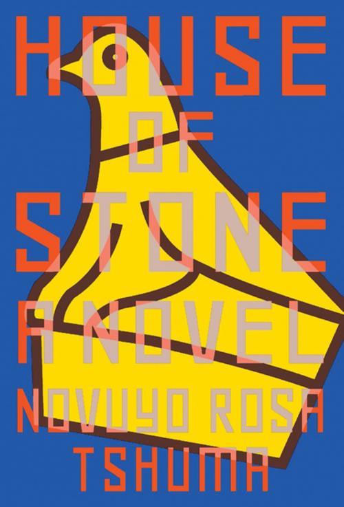 Cover of the book House of Stone: A Novel by Novuyo Rosa Tshuma, W. W. Norton & Company