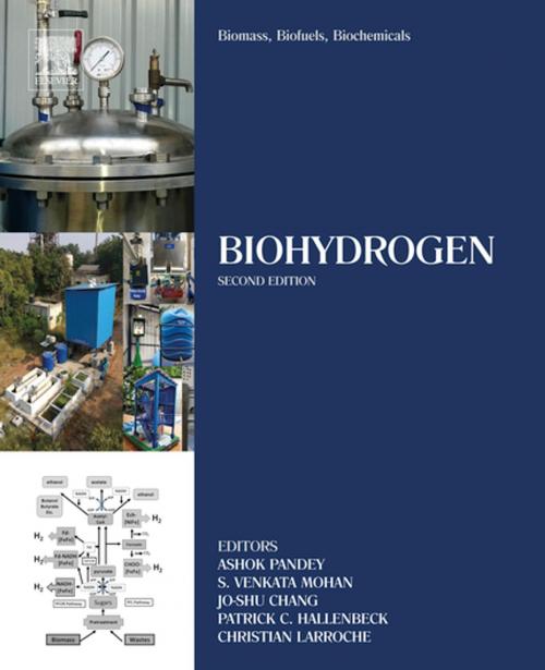 Cover of the book Biomass, Biofuels, Biochemicals by , Elsevier Science