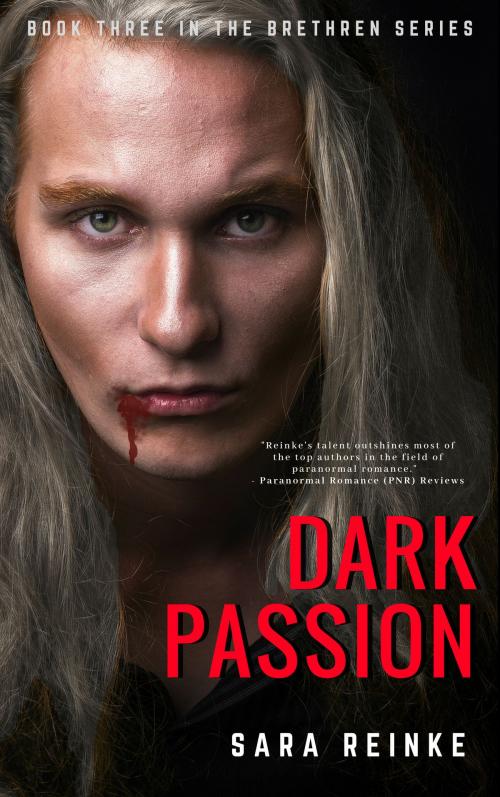 Cover of the book Dark Passion (The Brethren Series, Book Three) by Sara Reinke, Sara Reinke
