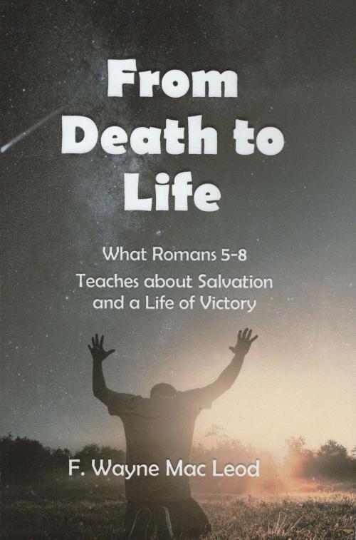 Cover of the book From Death to Life by F. Wayne Mac Leod, F. Wayne Mac Leod