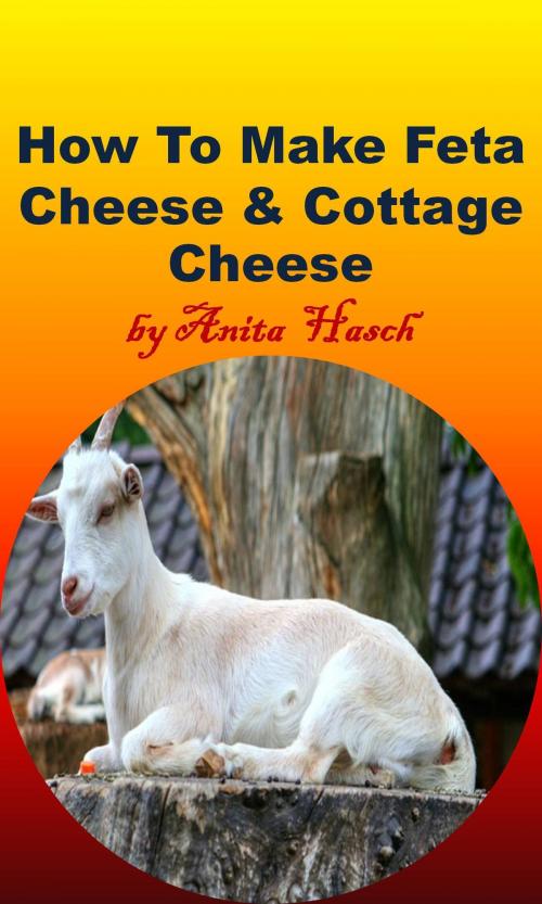 Cover of the book How To Make Feta Cheese and Cottage Cheese by Anita Hasch, Anita Hasch