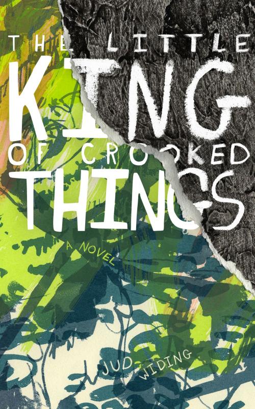 Cover of the book The Little King of Crooked Things by Jud Widing, Jud Widing