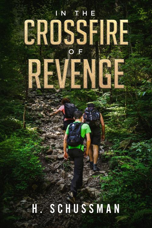Cover of the book In the Crossfire of Revenge by H. Schussman, H. Schussman