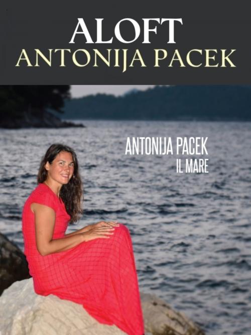 Cover of the book Aloft by Antonija Pacek, Stéphane Horeczko