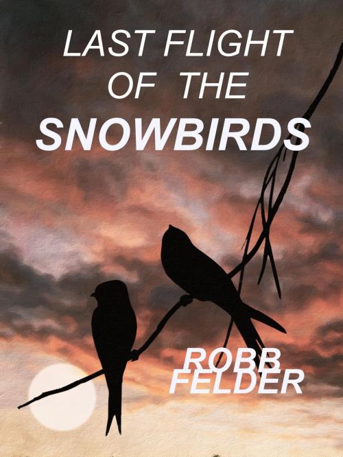 Cover of the book Last Flight Of The Snowbirds by Robb Felder, Robb Felder