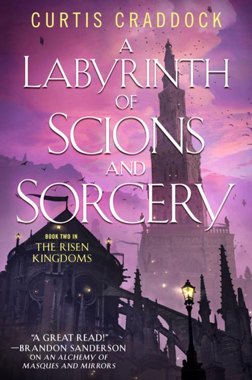 Cover of the book A Labyrinth of Scions and Sorcery by Curtis Craddock, Tom Doherty Associates