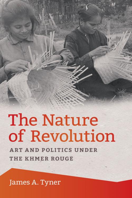 Cover of the book The Nature of Revolution by James A. Tyner, University of Georgia Press
