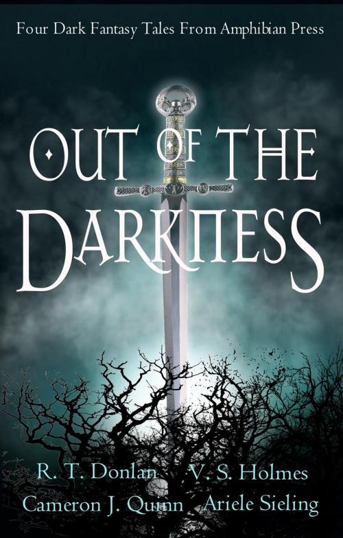 Cover of the book Out of the Darkness by V. S. Holmes, Ariele Sieling, Cameron J. Quinn, R. T. Donlon, Amphibian Press