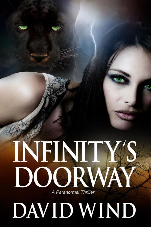 Cover of the book Infinity's Doorway by David Wind, DMW