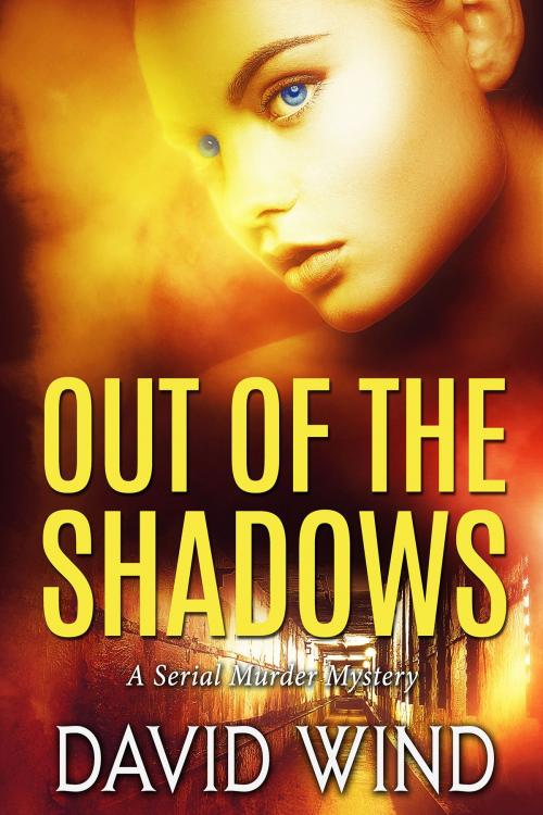 Cover of the book Out of the Shadows by David Wind, DMW