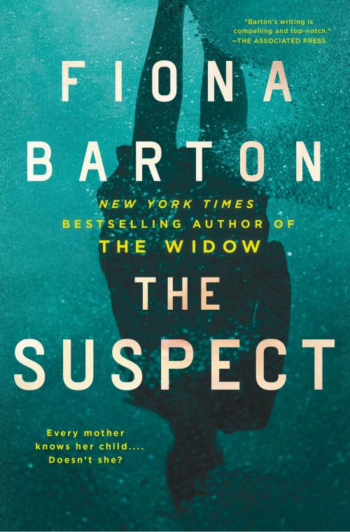 Cover of the book The Suspect by Fiona Barton, Penguin Publishing Group