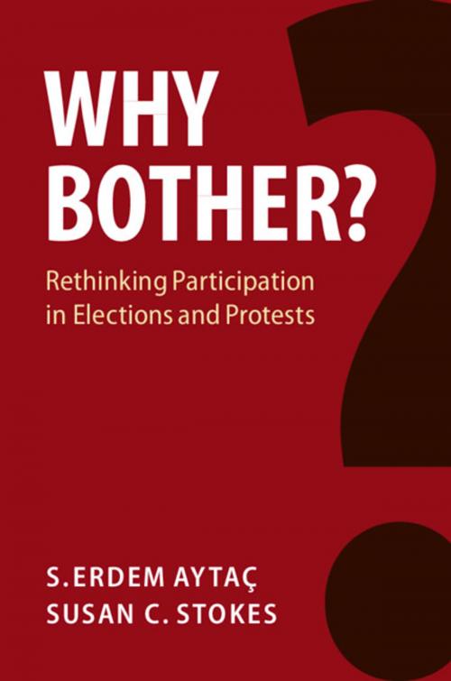 Cover of the book Why Bother? by Susan C. Stokes, S. Erdem Aytaç, Cambridge University Press