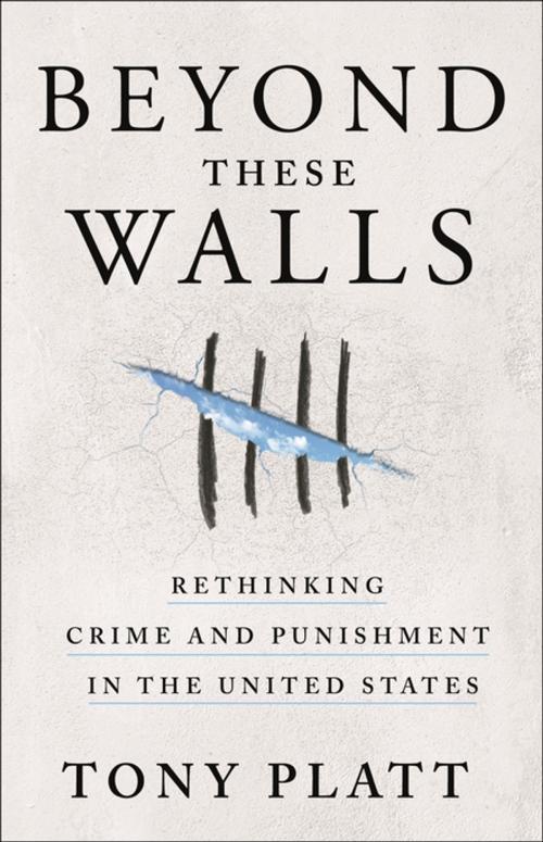 Cover of the book Beyond These Walls by Tony Platt, St. Martin's Press