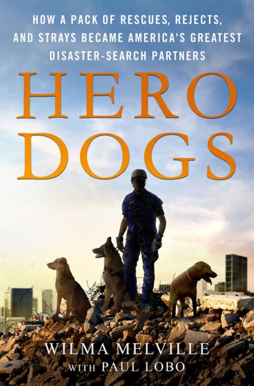 Cover of the book Hero Dogs by Wilma Melville, Paul Lobo, St. Martin's Press
