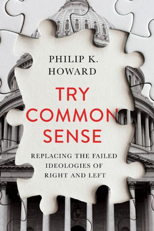 Cover of the book Try Common Sense: Replacing the Failed Ideologies of Right and Left by Philip K. Howard, W. W. Norton & Company