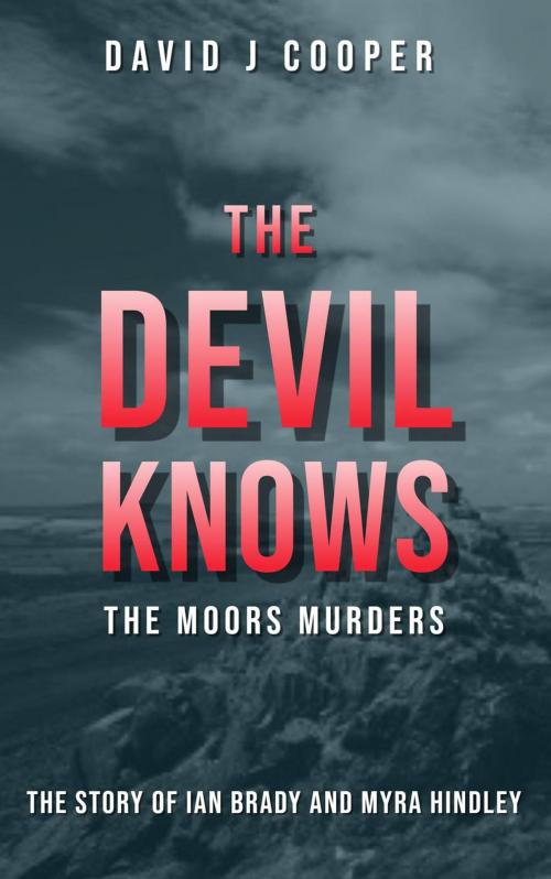 Cover of the book The Devil Knows by David J Cooper, David J Cooper