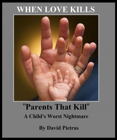 Cover of the book When Love Kills by David Pietras, Diamondback Publishers International