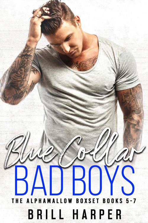 Cover of the book Blue Collar Bad Boys: Books 5-7 by Brill Harper, Brill Harper