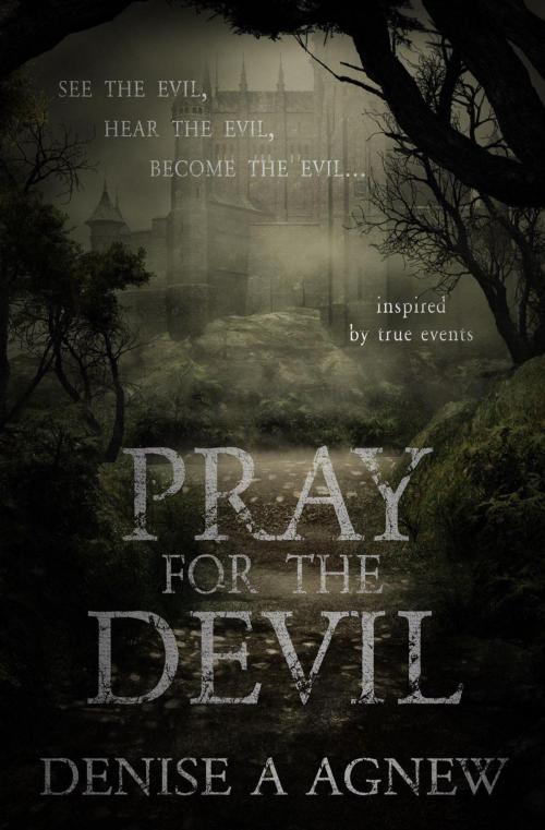 Cover of the book Pray For The Devil by Denise A. Agnew, Denise A. Agnew